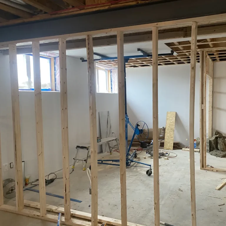 Before Basement Finishing